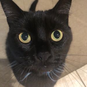 Meet your Posher, Kathryn